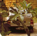 gs on postcard, click to enlarge